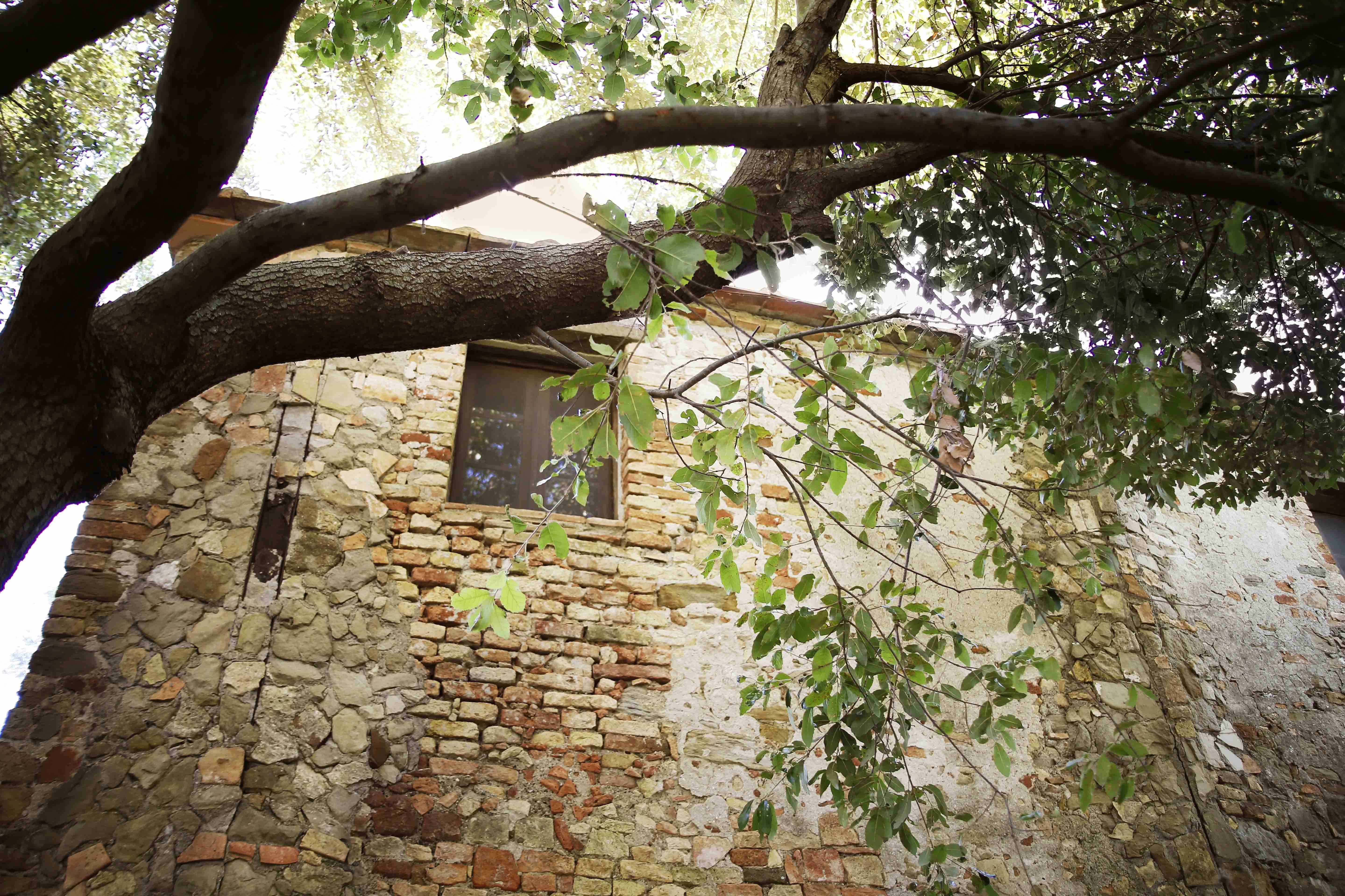 Il Sàrperi — fireplace