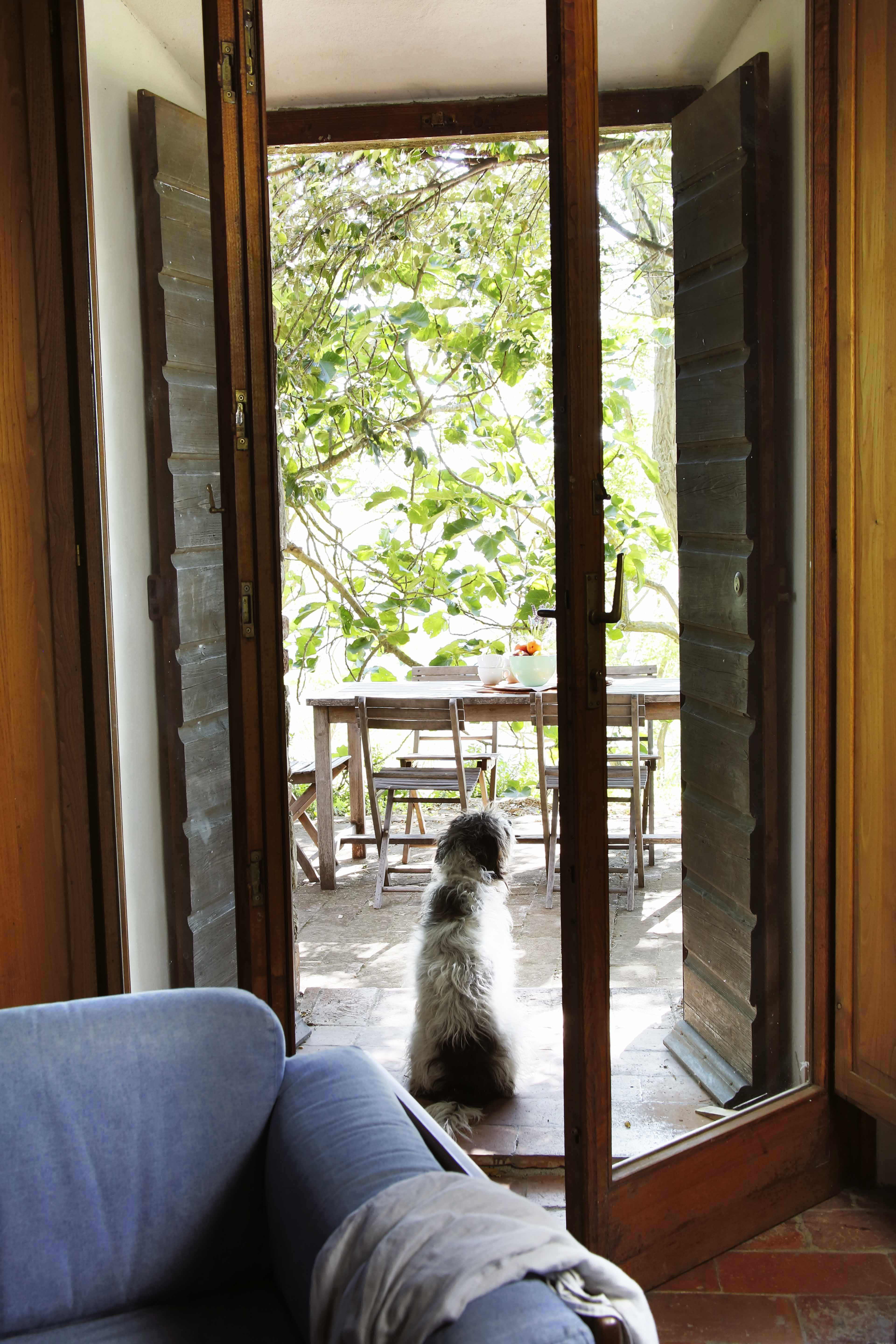 Il Sàrperi — terrace and acacia shade