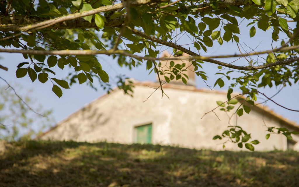 Gello village — La Scuola exterior