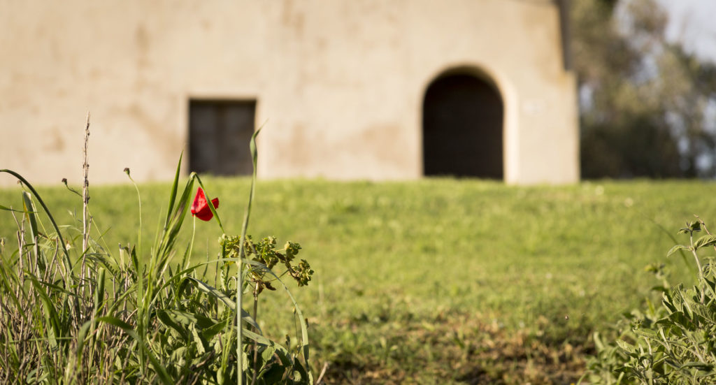 La Scuola — exterior view